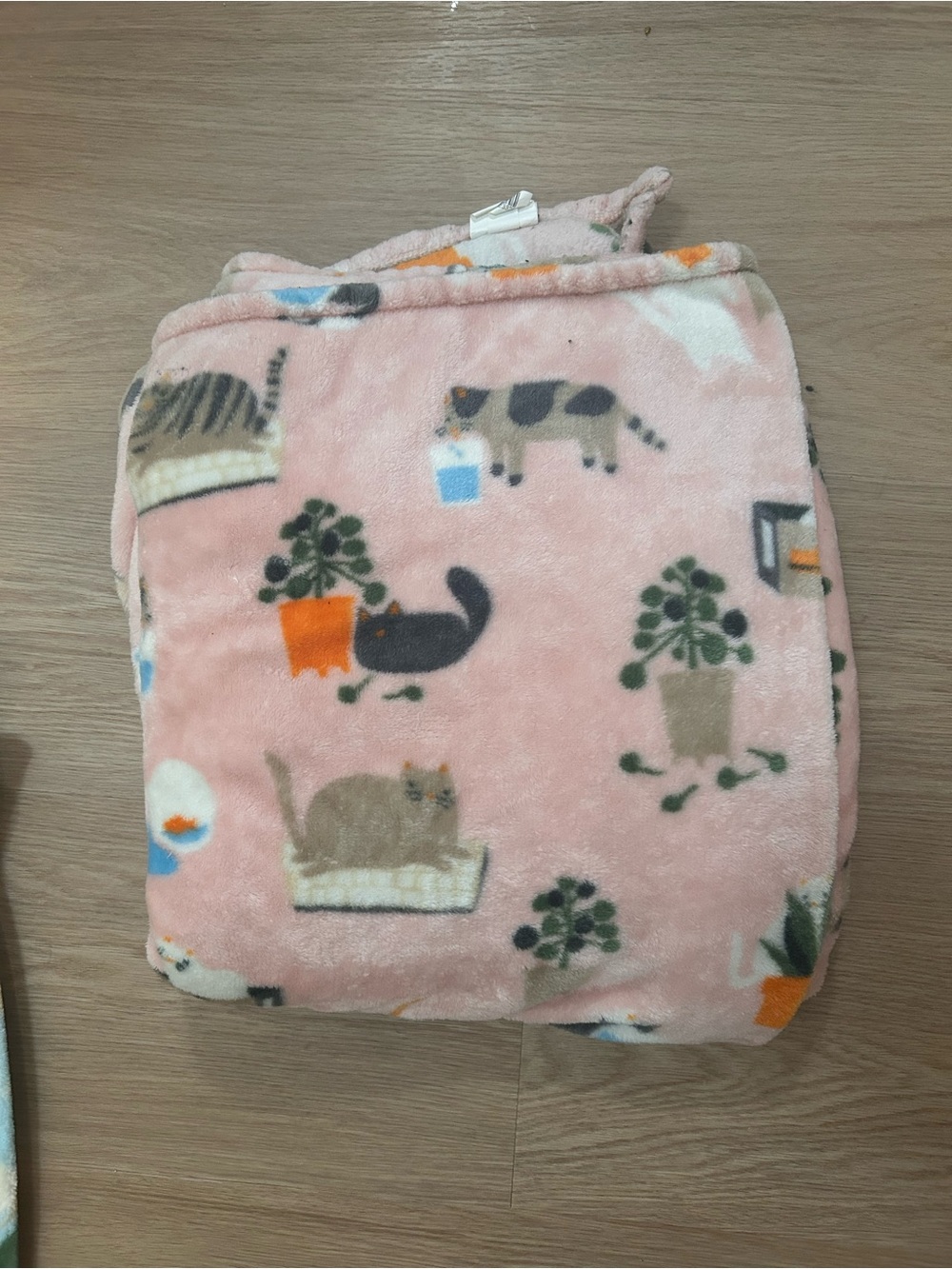 Cat print blanket